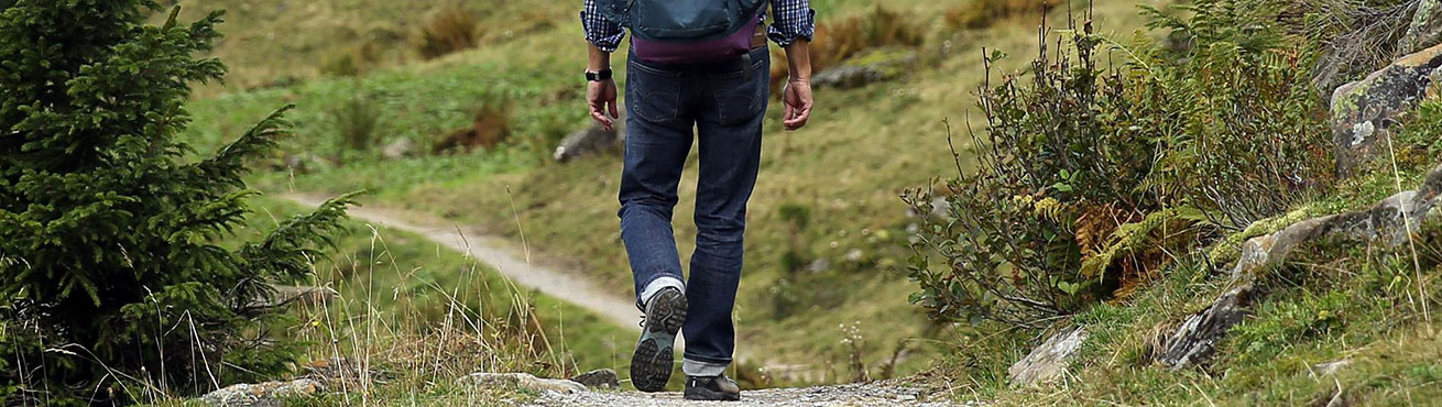 Gemeindewanderung (Sternwanderung)